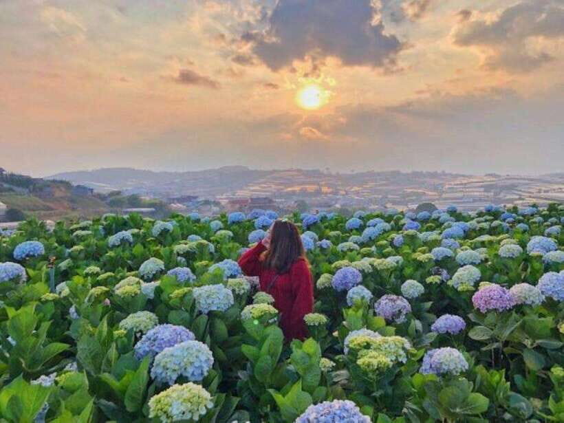 From Nha Trang: 1-Day Dalat Tour - Itinerary Highlights