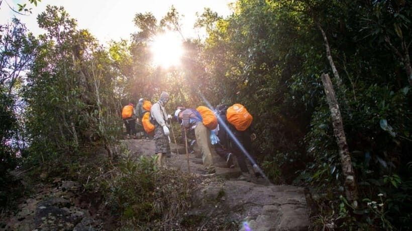 From Sapa: Full-Day Fansipan Peak Trekking Tour - Itinerary and Highlights