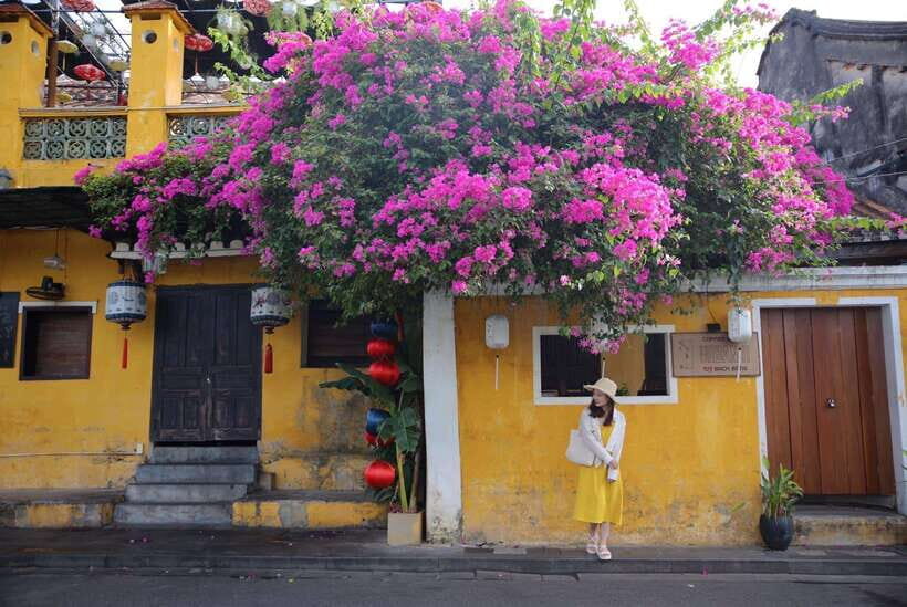From Tiên Sa Port: Da Nang And Hoi An City Sightseeing Tour - Itinerary and Activities