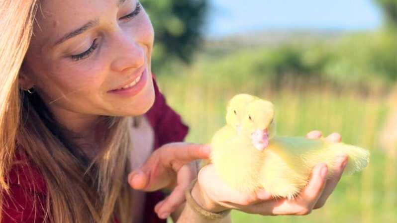 Gallura: Picnic on a Farm With Animals - Engaging With Rescued Animals