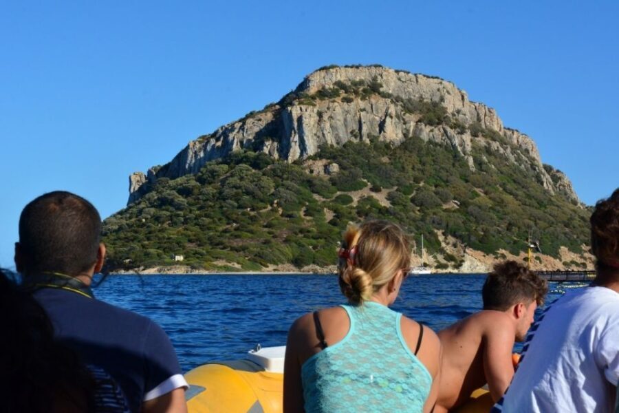 Golfo Aranci: Eco-Friendly Dolphin Watching Boat Trip - Pricing and Booking Information