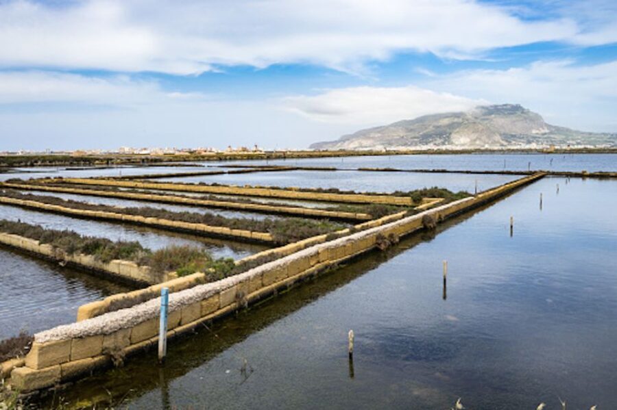 Guided Tour of the Marsala Salt Pans and Salt Harvesting - Exploring the Stagnone Islands