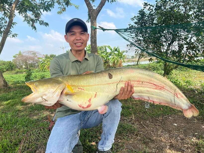 Hanoi: Catfish Luring Experience With Round-Trip Transfer - Pricing and Inclusions