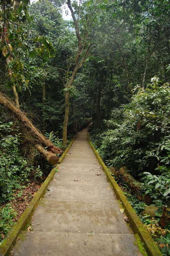 Hanoi: Full-day Cuc Phuong National Park Eco-adventure - Itinerary