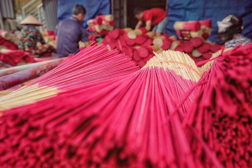 Hanoi: Ninh Binh Day Trip With Incense Village Tour - Highlights of the Itinerary