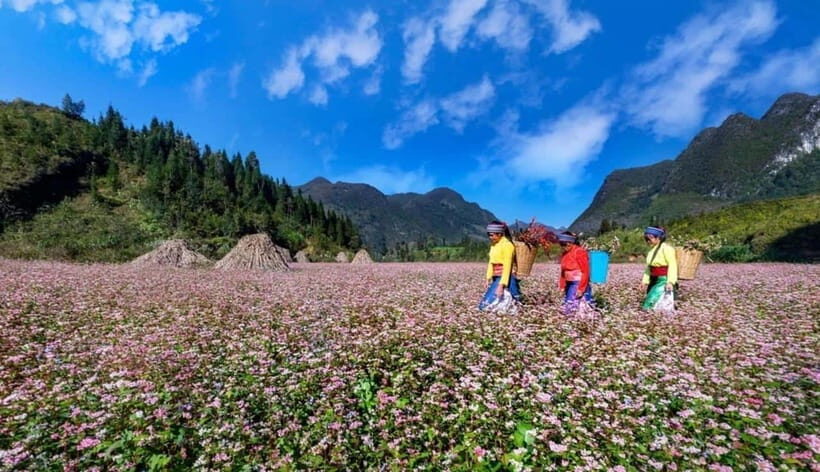 Hanoi: Private or Group 3-Days Ha Giang With Motorbike Tour - Itinerary Highlights
