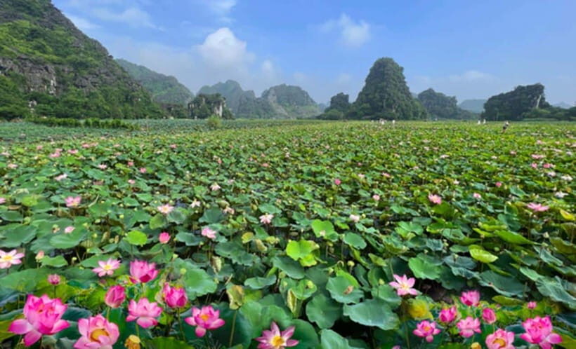Hanoi: Quang Phu Cau Incense Village, Hoa Lu, Trang An Tour - Itinerary Highlights