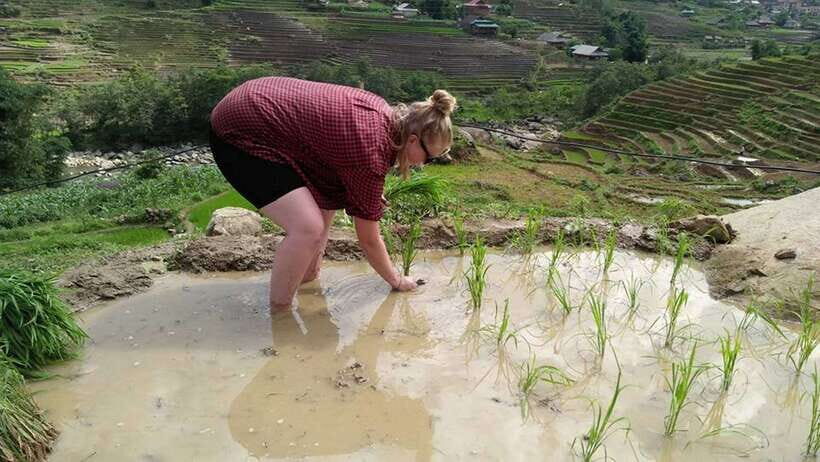 Hanoi- Sapa: 3-Day Homestay Trek to Explore Ethnic Cultures - Itinerary Details