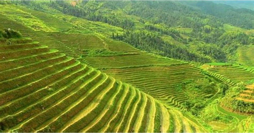 Hanoi: SAPA - CAT CAT - LAO CHAI 2D1N - Itinerary Highlights