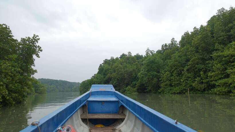 Ho Chi Minh: Can Gio Monkey Island & Salt Kingdom - Itinerary Highlights