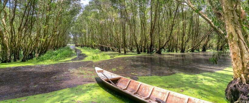 Ho Chi Minh Eco Tour: Private Can Gio Monkey Island - Scenic Boat Ride to Can Gio