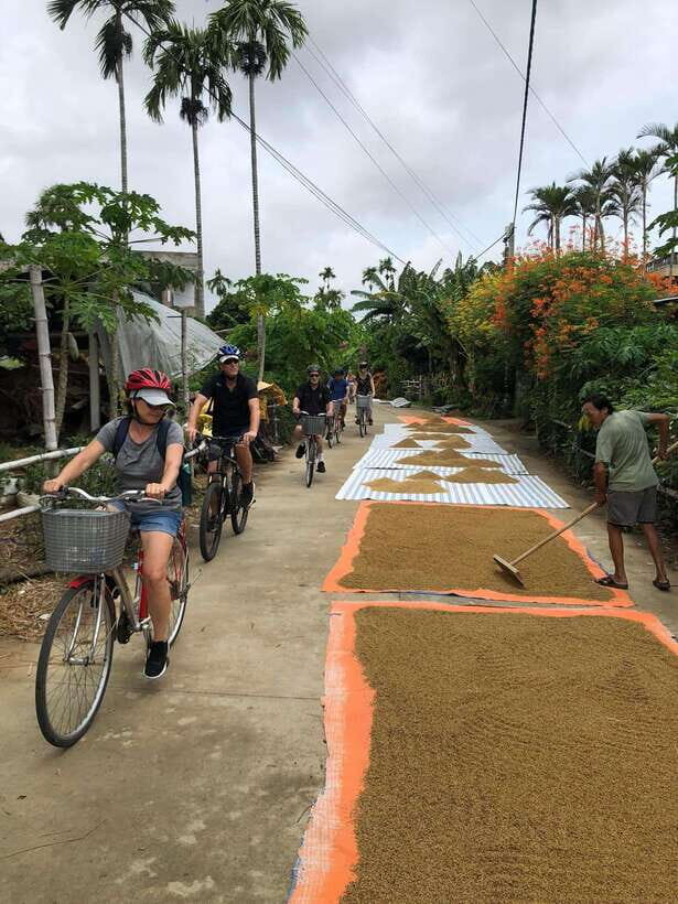 Hoi An: Half-Day My Son Sanctuary Bike Tour - Itinerary