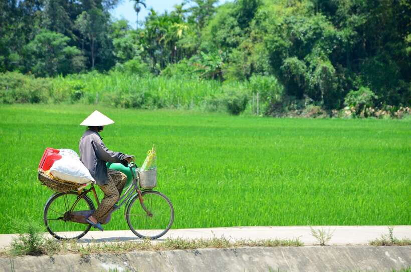 Hoi An: Private Cycling to My Son Sanctuary With Local Guide - Itinerary Highlights