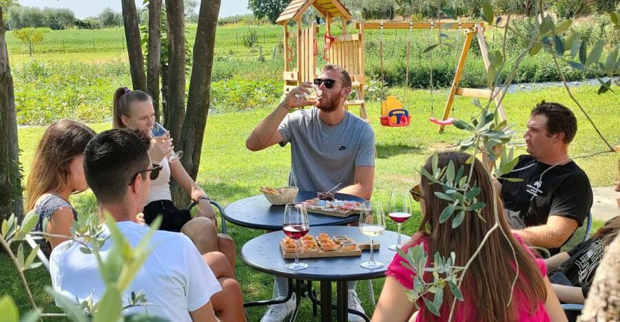 Lazise: Wine Tasting With Charcuterie and Cheese Board - Featured Wines: A Taste of Local Flavors