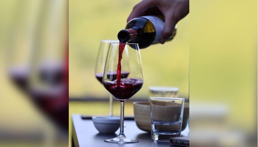 Lucca: Guided Winery Tour With Wine Tasting - Pricing and Booking Information