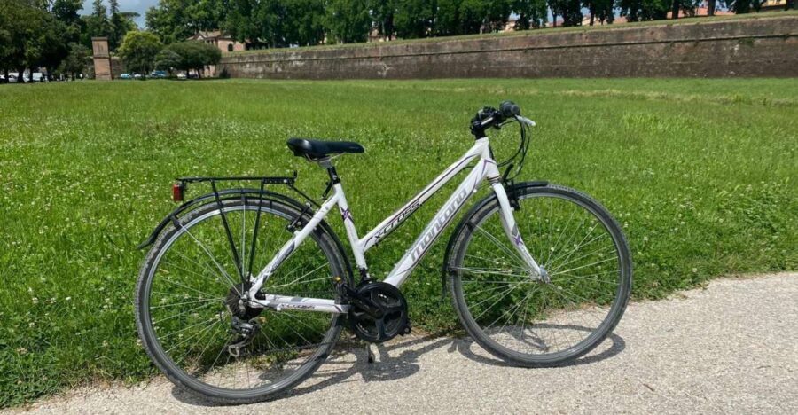 Lucca: Trekking Bike Rental - Bike Specifications and Features
