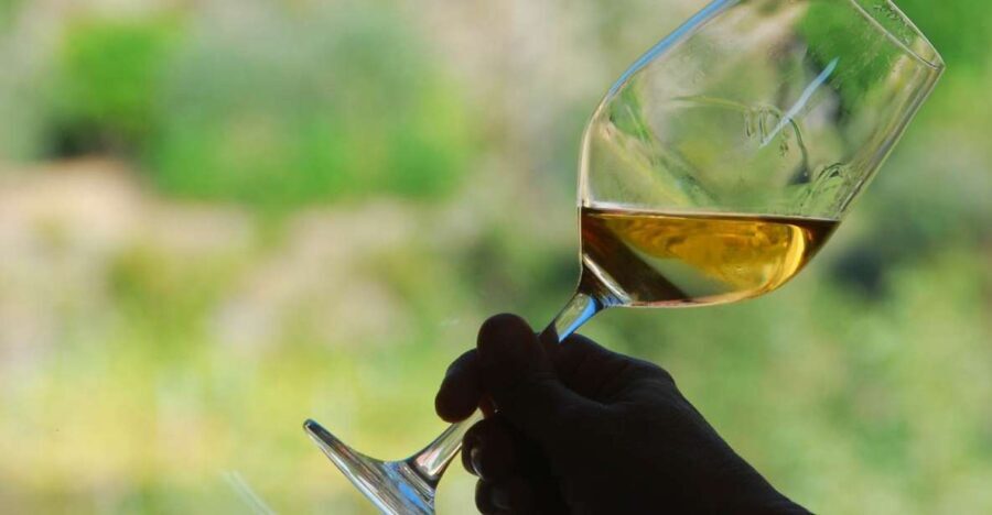 Manarola: Cinque Terre Wine Tasting - The Wines Youll Taste