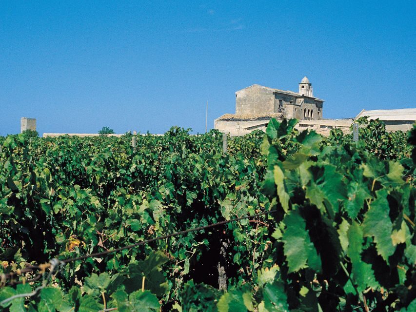 Marsala: Winery Tour With Wine Tasting and Local Products - Pricing and Booking Information