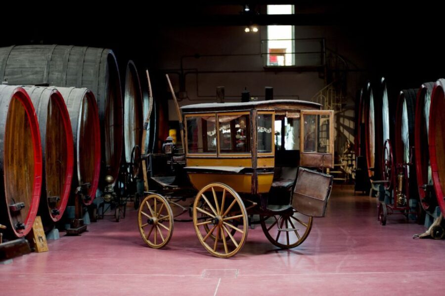 Modena: Lambrusco Wine Tasting and Cellar Tour - Highlights of the Tour