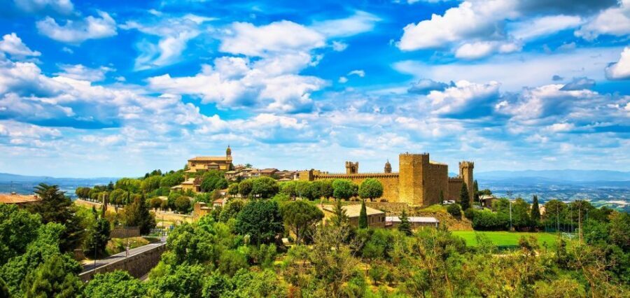 Montalcino: Castle and Vineyards Tour With Tasting - A Journey Through History
