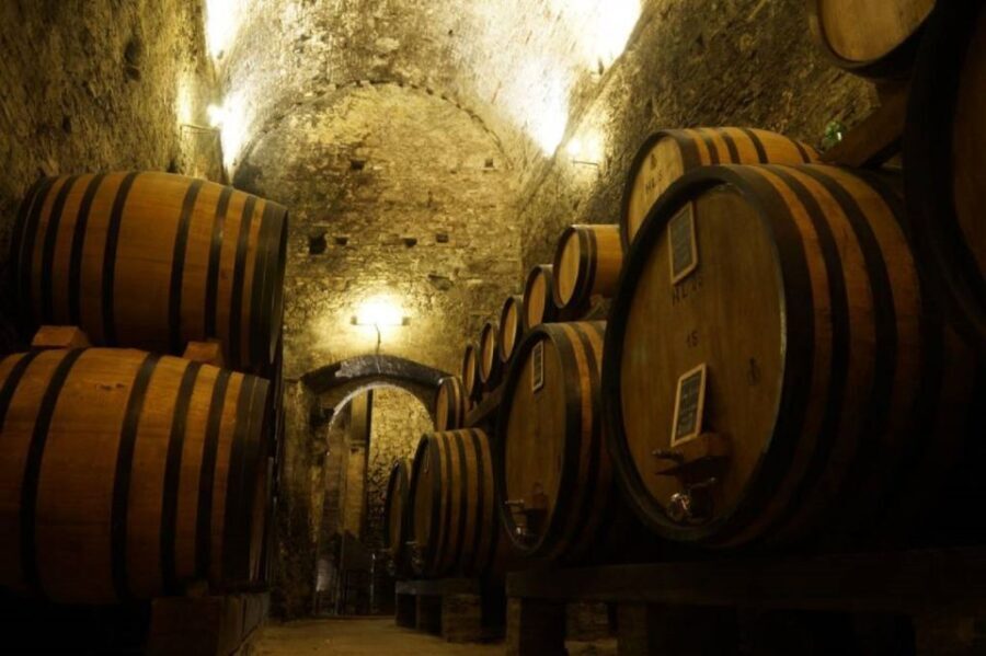 Montepulciano: Wine Tasting and Cellar Tour - Wine Selection and Tasting Notes