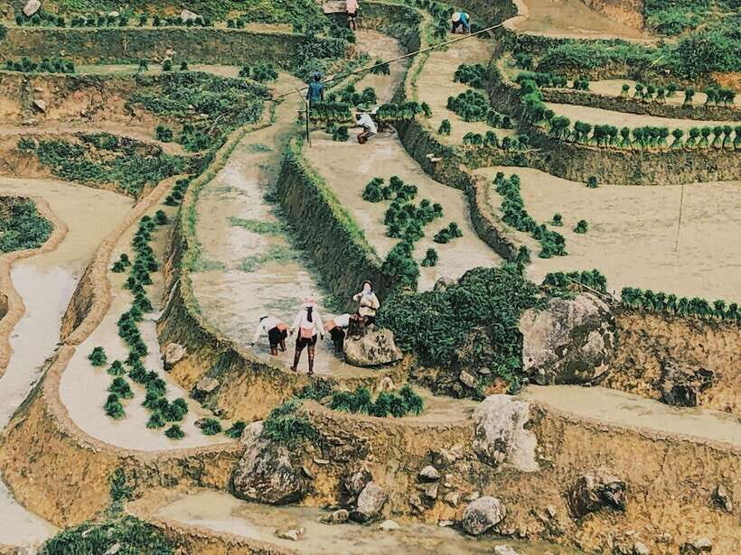 Mu Cang Chai: Private Car 1 Day Tour With Local Guide - Itinerary Highlights