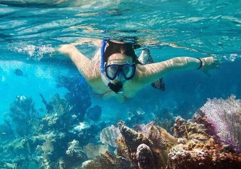 Mui Ne: Hidden Waterfall, Vinh Hy Bay Snorkeling Adventure - Itinerary Highlights