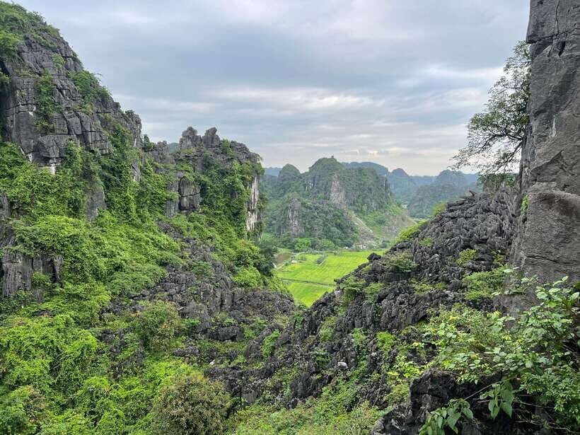 Ninh Binh and Cuc Phuong National Park 2-Day Private Tour - Day 1: Exploring Hoa Lu and Tràng An