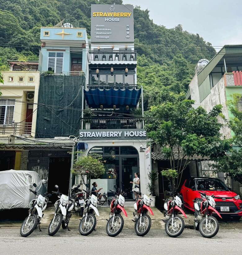 Ninh Binh - Ha Giang 3Days 2Nights Easy Rider (With Bus) - Itinerary Highlights