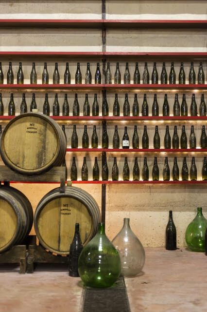 Offida: Tasting Itinerary of Rosso Piceno DOC Superiore - Guided Tour of Cantina Villa Pigna