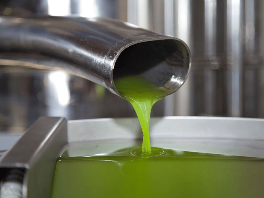 Olive Mill Tour and Tasting in the Verona Countryside - Pricing and Reservation Details