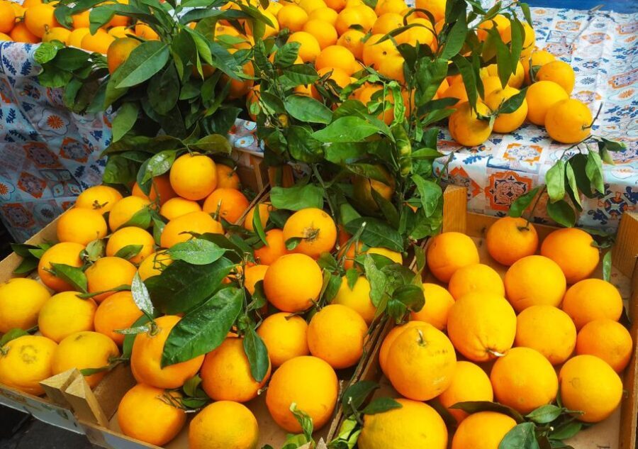 Palermo: Street Food Walking Tour With Local Guide & Tasting - Highlights of the Culinary Experience
