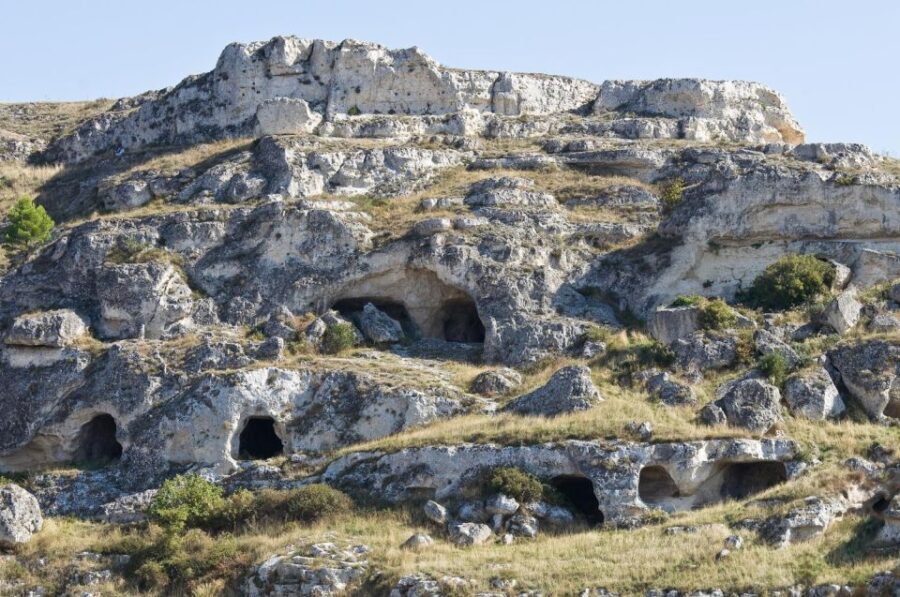 Parco Murgia: Eco-Bus Open Top (Official Tour) - Pricing and Booking Information