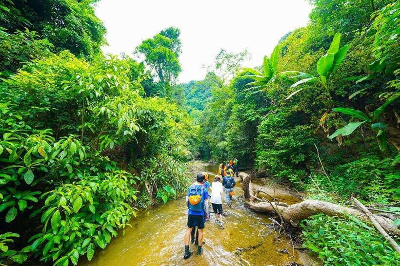 Phong Nha: ELEPHANT CAVE & MA DA VALLEY JUNGLE TREK 1D - Itinerary Highlights