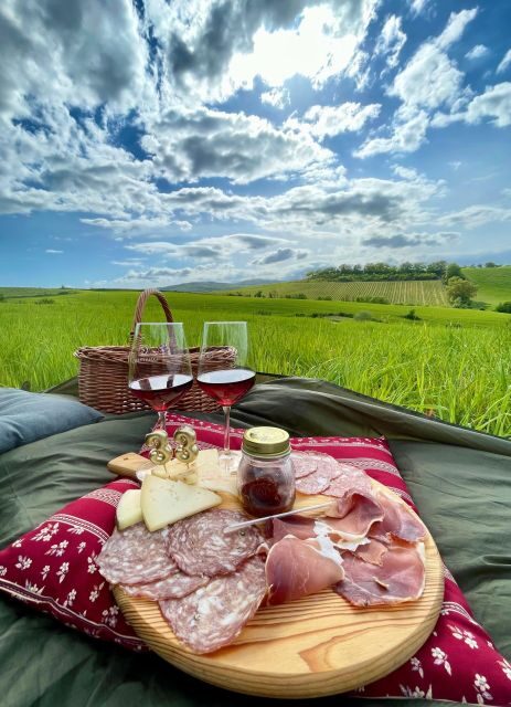 Picnic in the Organic Vineyards of Brunello - Exploring the Organic Vineyards