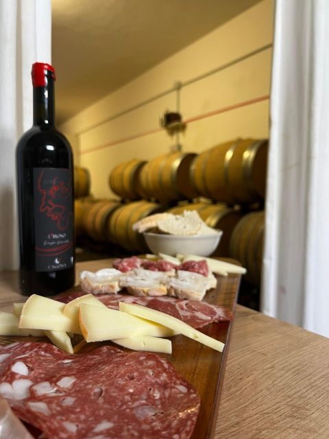 Pisa: Winery Tour and Wine Tasting With Local Food Pairing - Tour Highlights