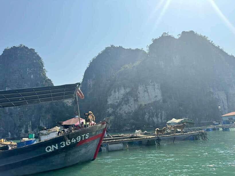 Private Tour Ha Long Bay 1 Day & Choose Language Tour Guide - Itinerary Highlights