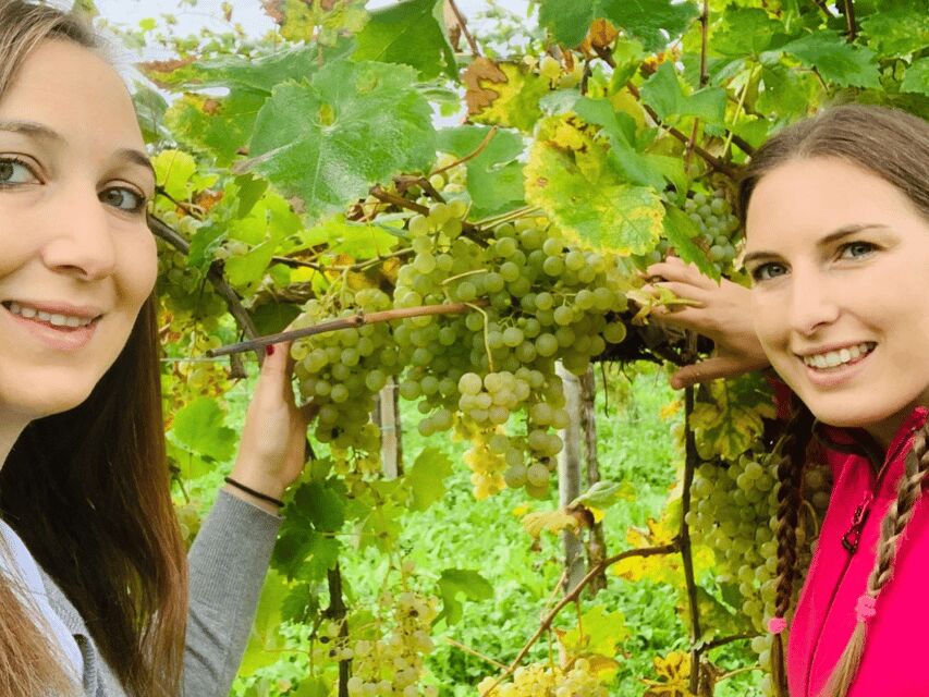 Prosecco Tasting in Countryside Winery - Vineyard and Winery Exploration