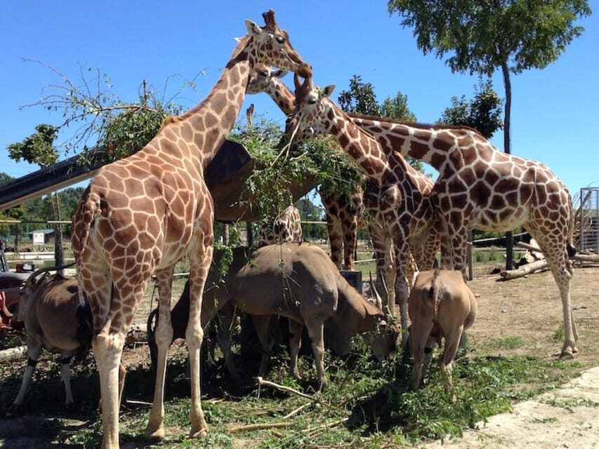 Ravenna: Safari Ravenna Entrance Ticket - Wildlife Encounters and Guided Tours