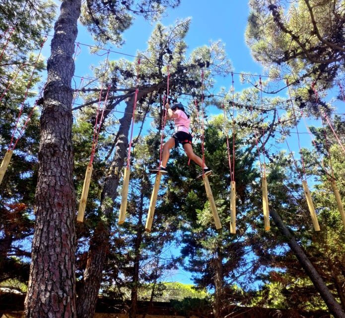 Rimini: Adventure Park Entry Ticket - Adventure Park Location and Features