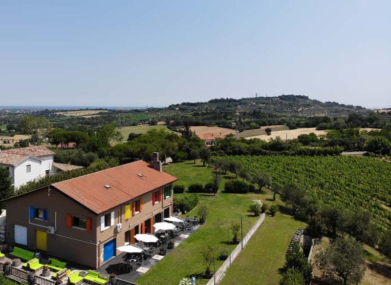 Rimini: San Valentino Vineyards Tour With DOC Wine Tastings - Pricing and Group Size