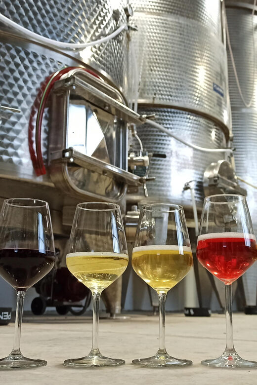 Romagna: Wine Tour With the Winemaker - The Panoramic Vineyard Tour