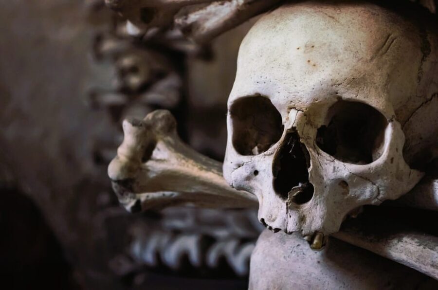 Rome: Capuchin Crypts Express Tour - Pricing and Booking Information