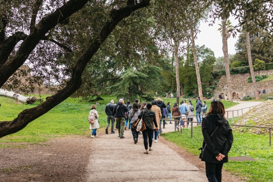 Rome: Colosseum, Palatine Hill & Roman Forum Guided Tour - Itinerary Highlights