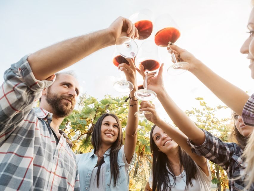 Salento: Winery Tour and Tasting - What to Expect During the Experience