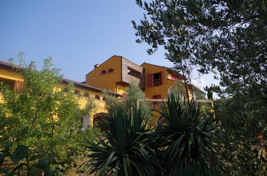 San Felice: Olive Oil Tasting With Local Food on Garda Hills - A Taste of Tradition: The Olive Oil Tasting Experience