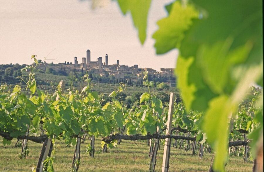 SAN GIMIGNANO: TASTING WITH A VIEW OF THE TOWERS - Stunning Views of San Gimignano