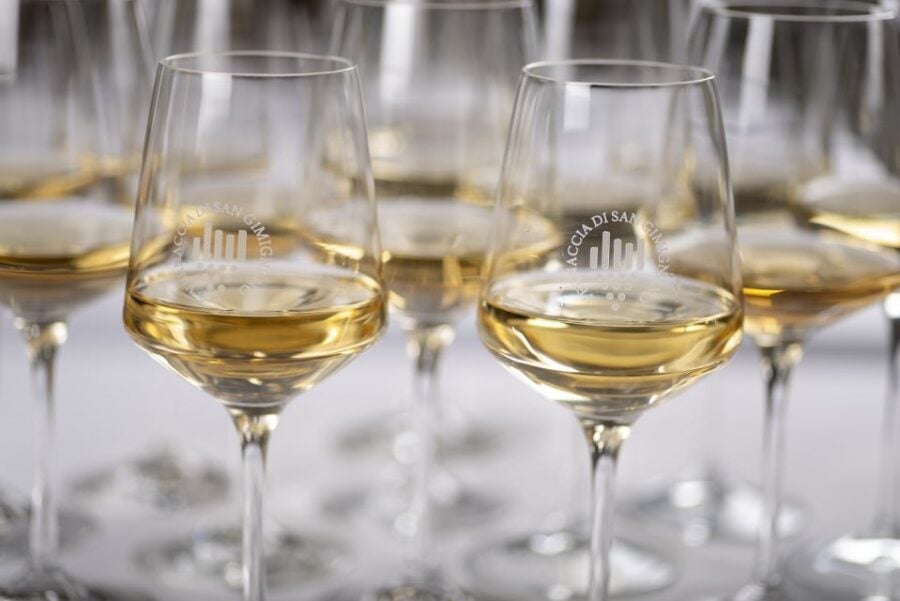 San Gimignano: Vernaccia Wine Tasting Experience - Wine Selection and Tasting Details