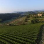 San Gregorio Tasting - Reservation and Booking Information