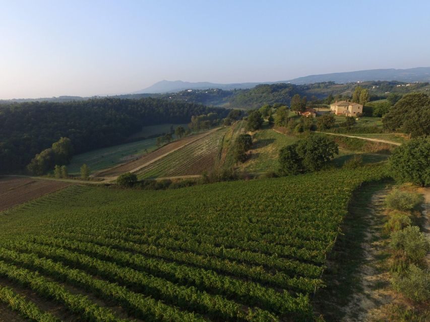 San Gregorio Tasting - Reservation and Booking Information
